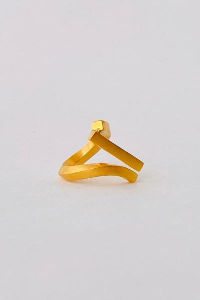 Linear  Curve Ring